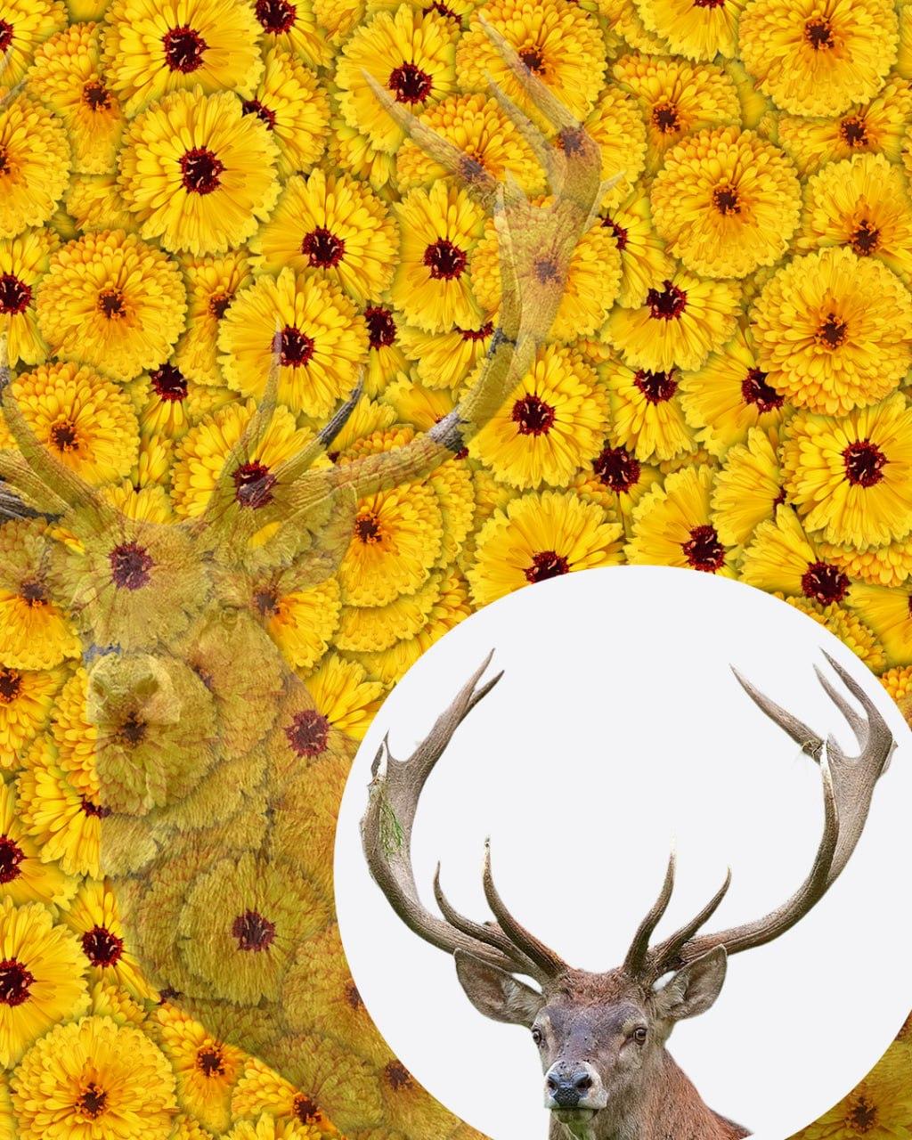 Ainult üks inimene kümnest leiab pildilt hirve 7 sekundiga: väga keeruline optiline illusioon