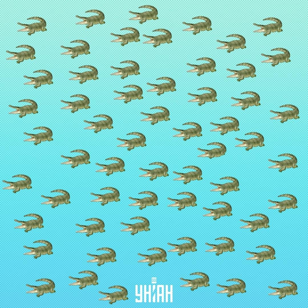 Roomaja peitis end, kuid seda peab nägema 15 sekundiga / Kollaaž Moje