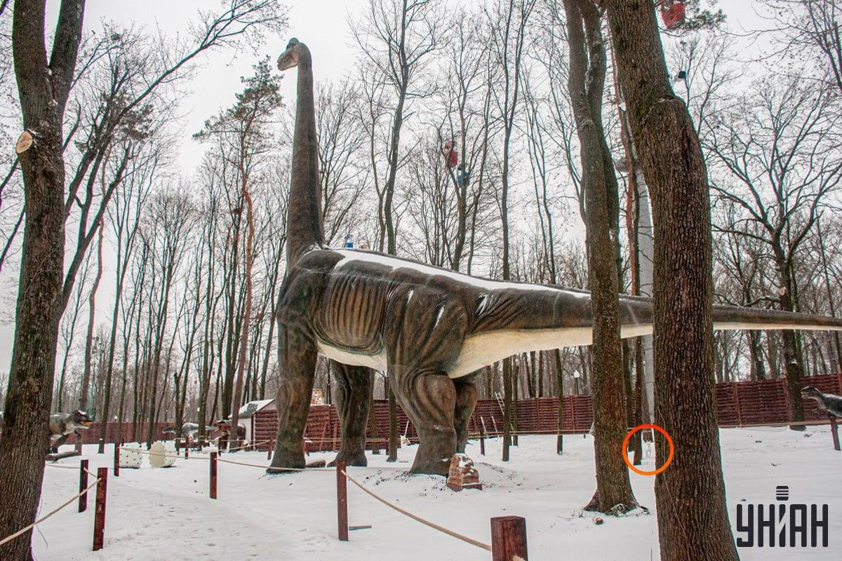 Koer oli pildi / kollaaži Moje alumise vasaku nurga lähedal