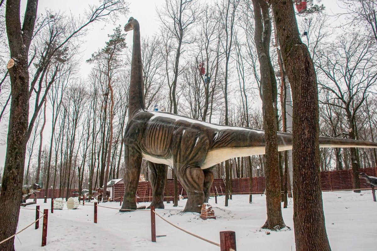 Leia koer lume hulgast 10 sekundiga / Moje kollaaž