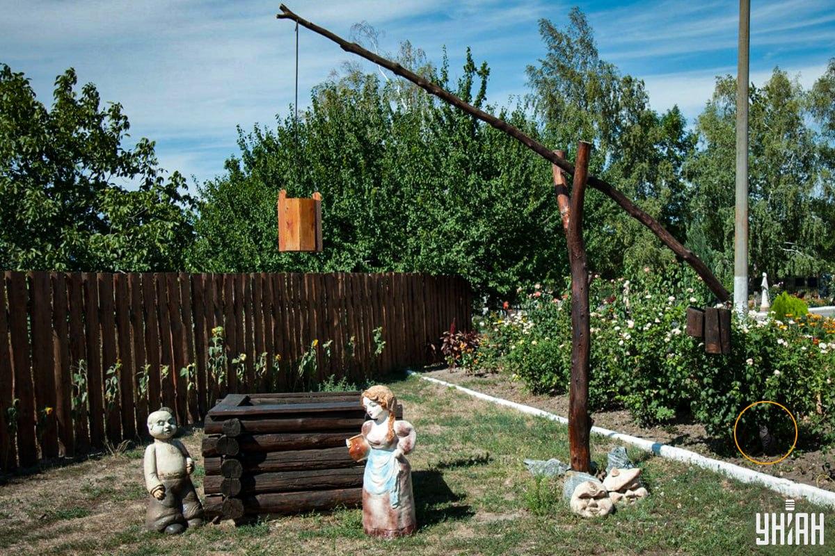 Kass oli lillepeenras / Moje kollaaž