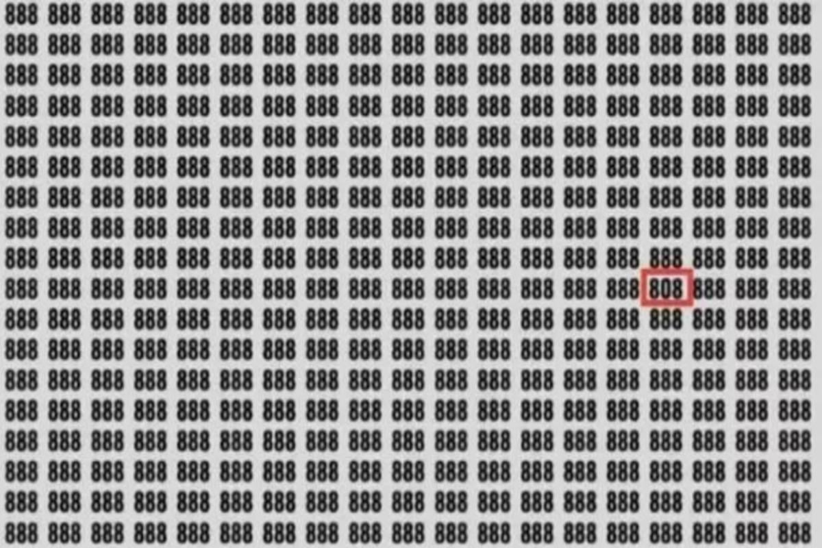 Mõistatuse vastus / foto autor Jagran Josh