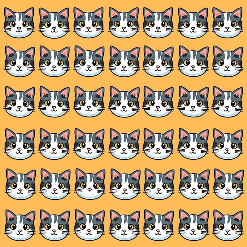 See optiline illusioon on võimalik ainult inimestele, kellel on suurepärane IQ / pilt Moje