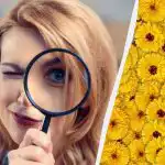 Ainult üks inimene kümnest leiab pildilt hirve 7 sekundiga: väga