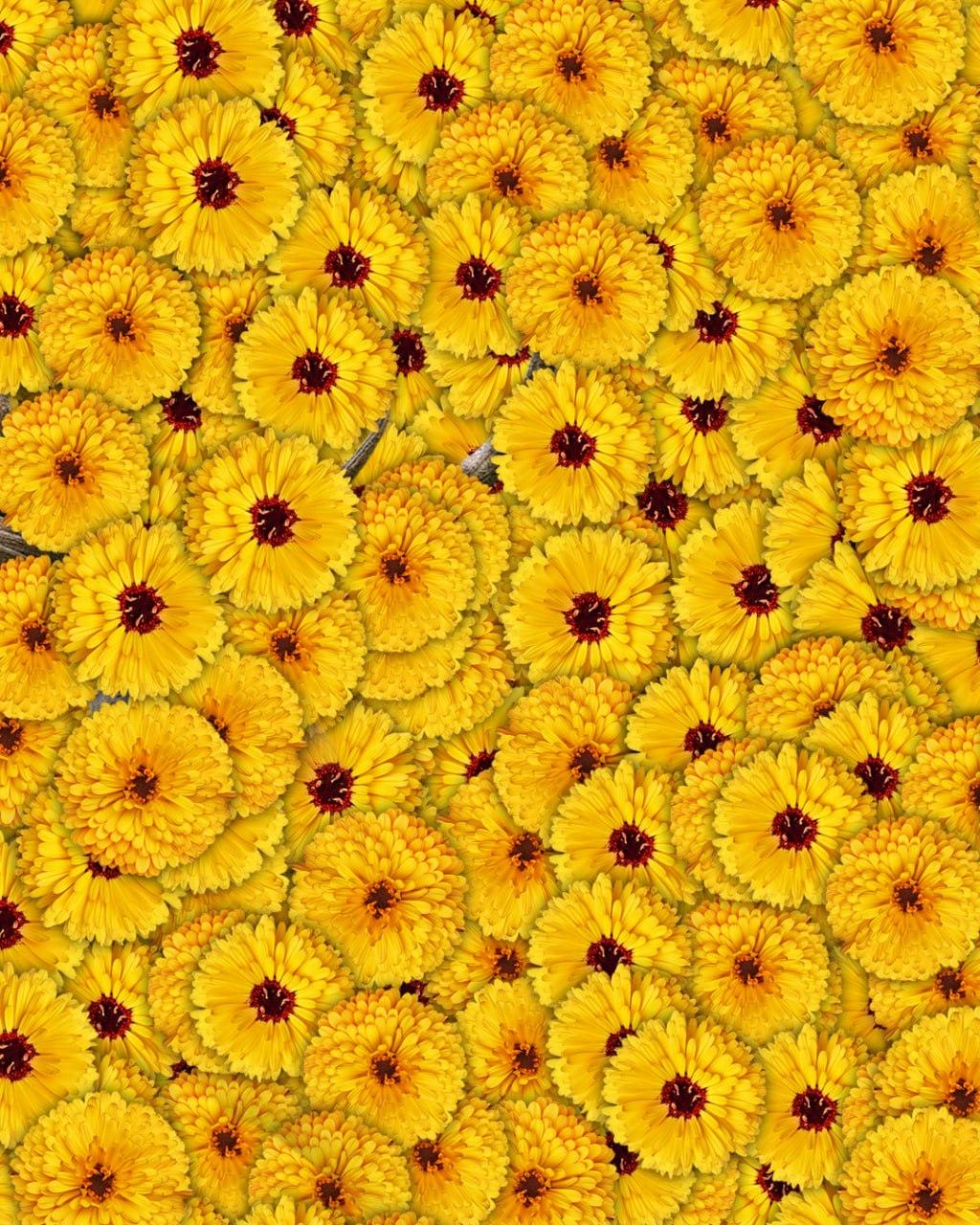 Ainult üks inimene kümnest leiab pildilt hirve 7 sekundiga: väga keeruline optiline illusioon