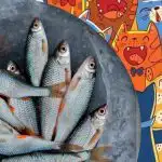 Vajadus kasside seast kala leida: lõbus mõistatus kotkanägemisega inimestele